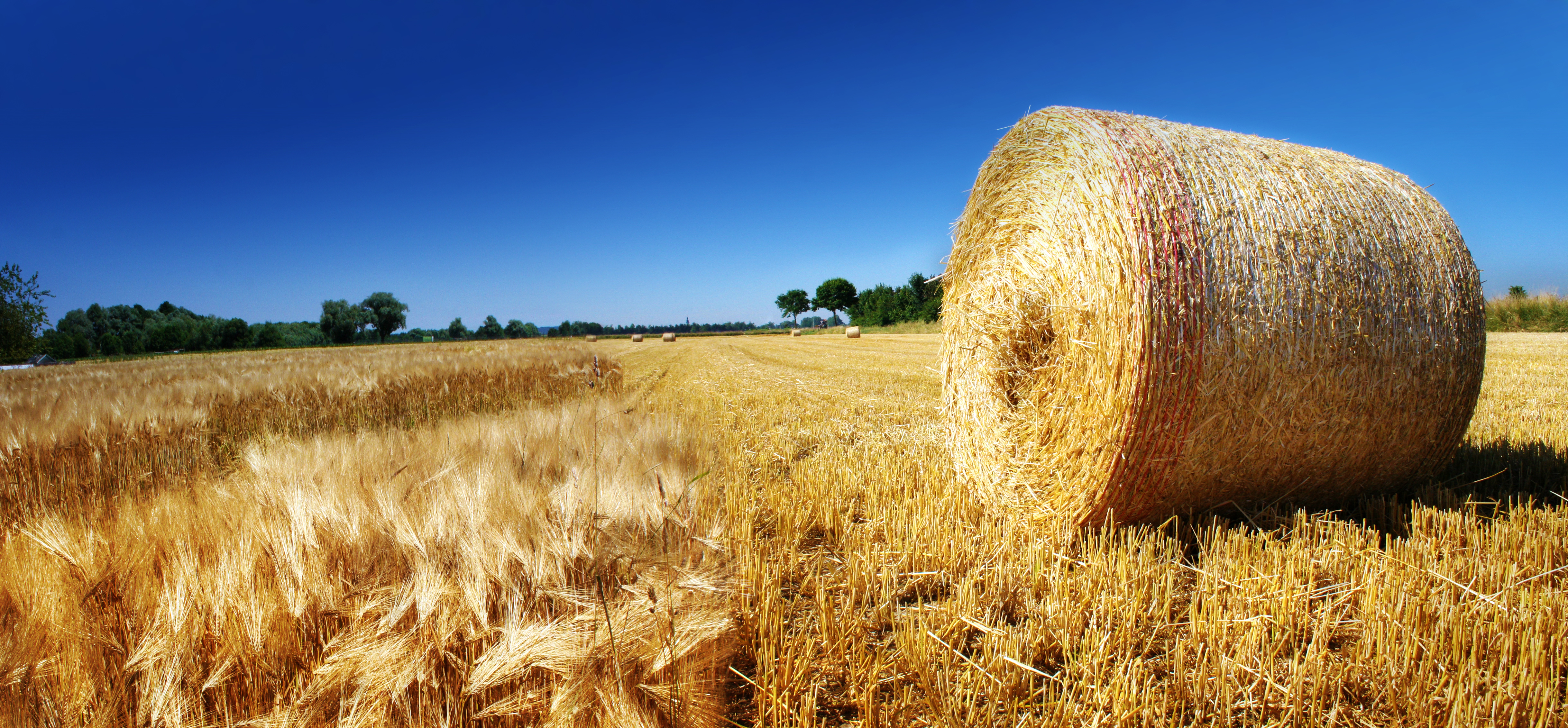 Landwirtschaftliche Bedarfsartikel